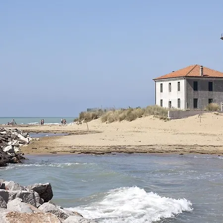 Bristol Bibione